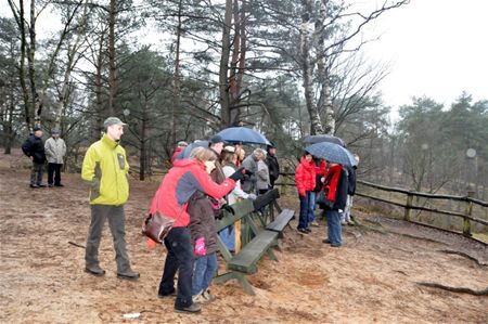 Winterborrelwandelaars storen zich niet aan weer