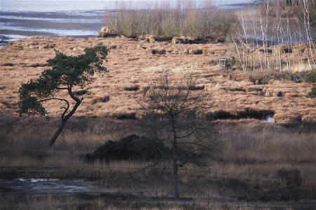 Winterrust rond de kluis