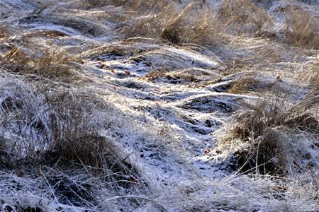 Winterse rust aan de Kluis