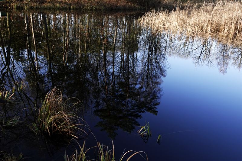 Winterse sfeerbeelden