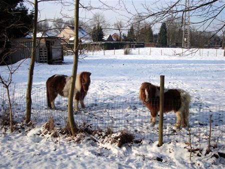 Wintersfeer in De Stukken