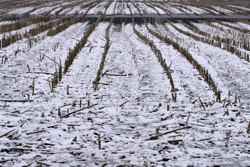 Wintertaferelen uit Bolderberg
