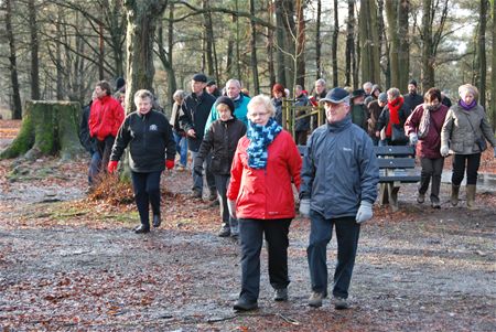 Winterwandeling onder de zon