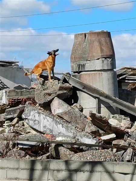 WK op Helzold krijgt 55 deelnemers uit 15 landen