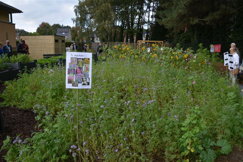 Zaterdag is open tuindag inde Beleeftuin