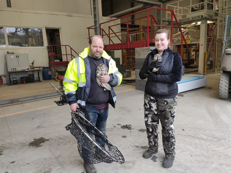 Ze gingen een uiltje vangen ...