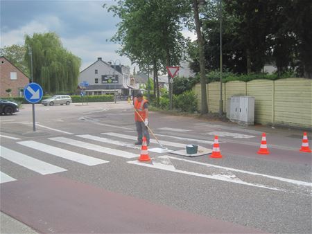 Zebrapad in Bolderberg bijgeschilderd voor examen