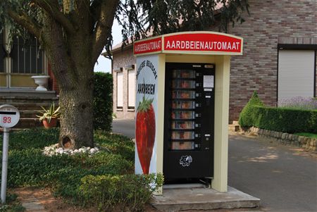 Zelfs bij dit weer frisse aardbeien