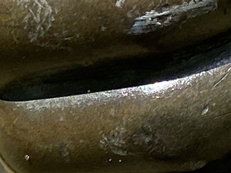 Zoek het plekje: negende opgave