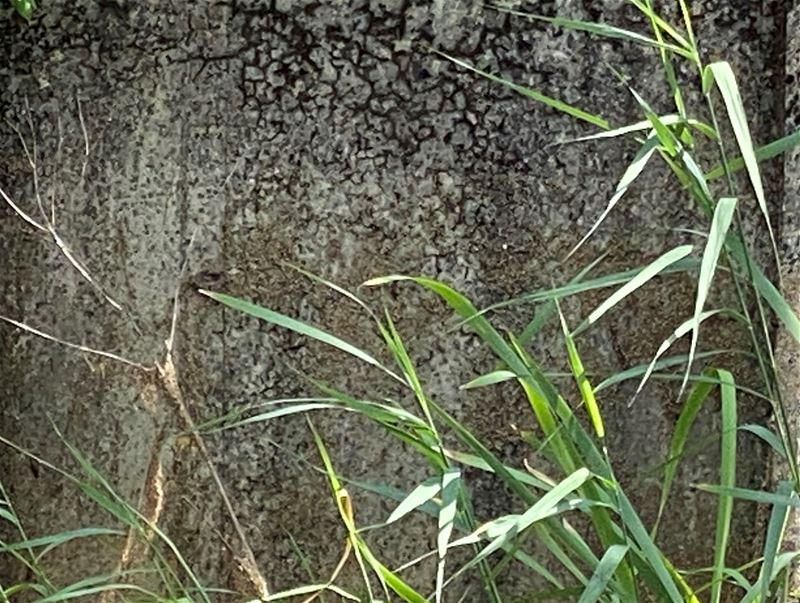 Zoek het plekje: vierde opgave