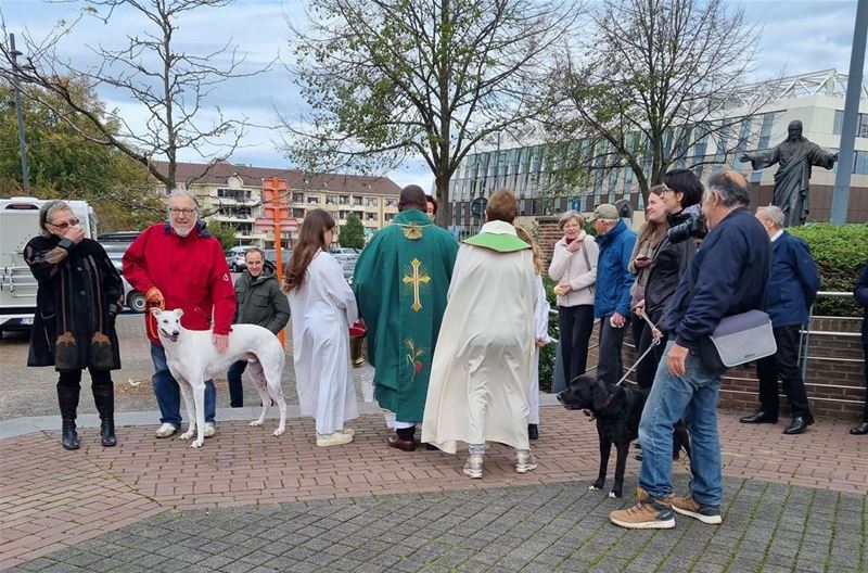 Zolder herdenkt zondag Sint-Hubertus