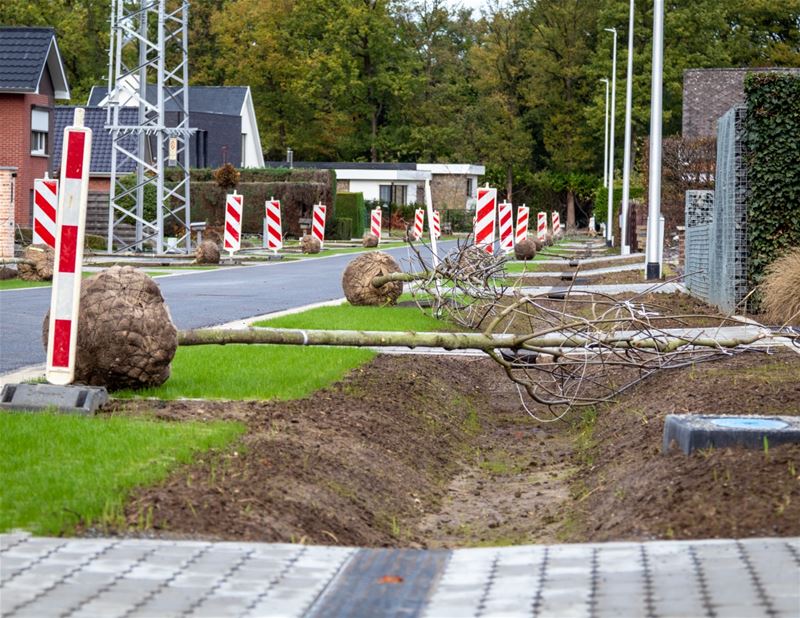 Zolikkenstraat heeft haar wadi's