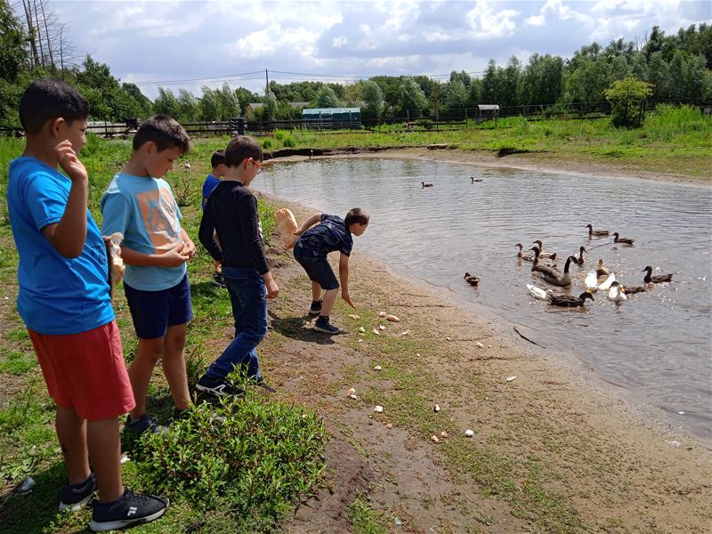 Zomerkamp in De Berentuin is een avontuur