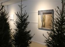 Zondag finissage van 'Tree of Life'