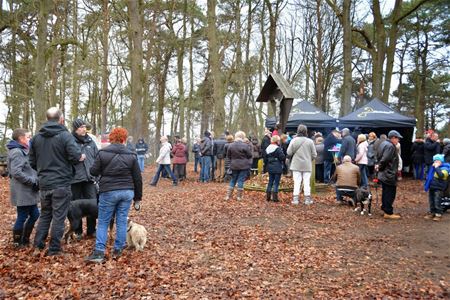 Zondag wandelen naar de Kluis in Bolderberg