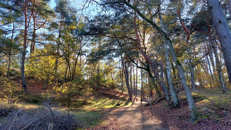 Zonnig zachte herfst aan de Kluis