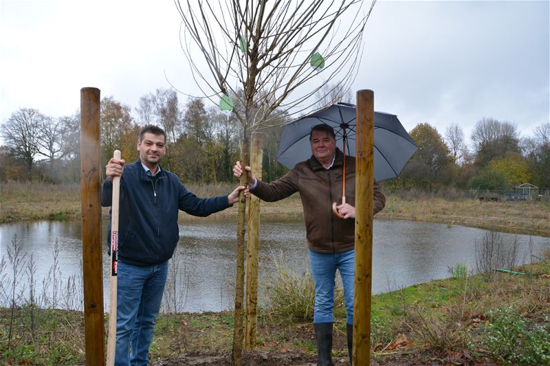 Zwarte populier start van nieuw bos op Beekbeemden