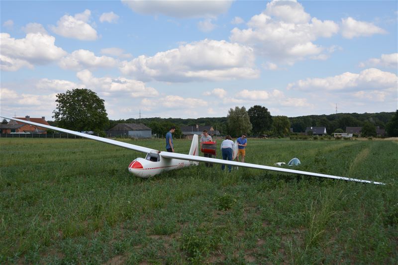 Zweefvliegtuig landt in weide in Ubbersel