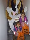 halloweenactie-in-de-blauwe-wijk-was-een-succes