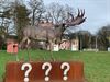 megaloceros-op-sokkel-voor-kasteel-meylandt