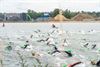 triatlon-tuur-lemmens-en-joris-aerden-de-snelsten
