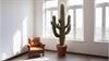 cactus-psychologie-in-het-theater
