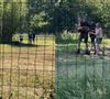 vastgelopen-ree-bevrijd-uit-een-weide