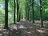 vakantiegroeten-uit-heusden-zolder-86