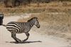 vakantiegroeten-uit-tanzania-1
