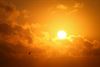 we-haalden-38-3-graden-in-heusden-zolder
