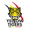 geen-kwartinale-voor-nathalie-en-de-yellow-tigers