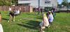 kubb-tornooi-was-hoogtepunt-van-berkenbos-leeft