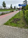 everzwijnen-waren-vannacht-actief-in-koolmijnlaan