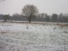 Winter in de Mangelbeekvallei