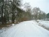 Winterbeelden op de Tramroute