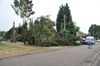 Windhoos ontwortelt bomen in De Lobbert