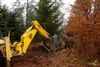 Kerstboom van St. Hubert naar Meylandt verhuisd