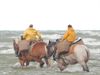 Vakantiegroeten uit Oostduinkerke