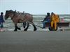 Vakantiegroeten uit Oostduinkerke