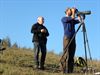 Meer dan 31.000 trekvogels boven terril