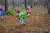 Scouts aan de slag in natuurgebied