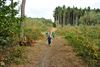 Het bos als speelterrein