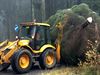 Kerstboom van Saint-Hubert is onderweg