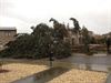 Bomen gekapt in perkje Oudstrijderslaan