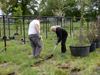 Binnenkort kunnen ze al patatten planten