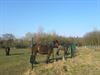 Over de grenzen van Heusden-Zolder (2)