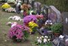 De trend in allerheiligenbloemen