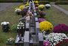 De trend in allerheiligenbloemen