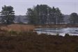 KWB Bolderberg wandelde in Kelchterhoef