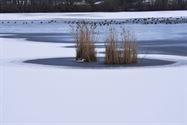 Winter in Bolderberg